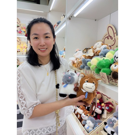 Plush Toys / Stuffed Toys